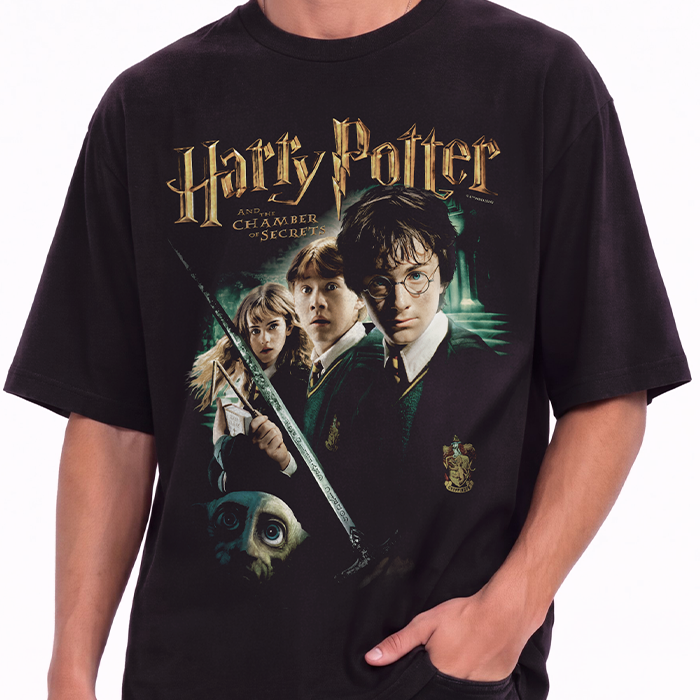 Chamber of Secrets Oversized T-Shirt