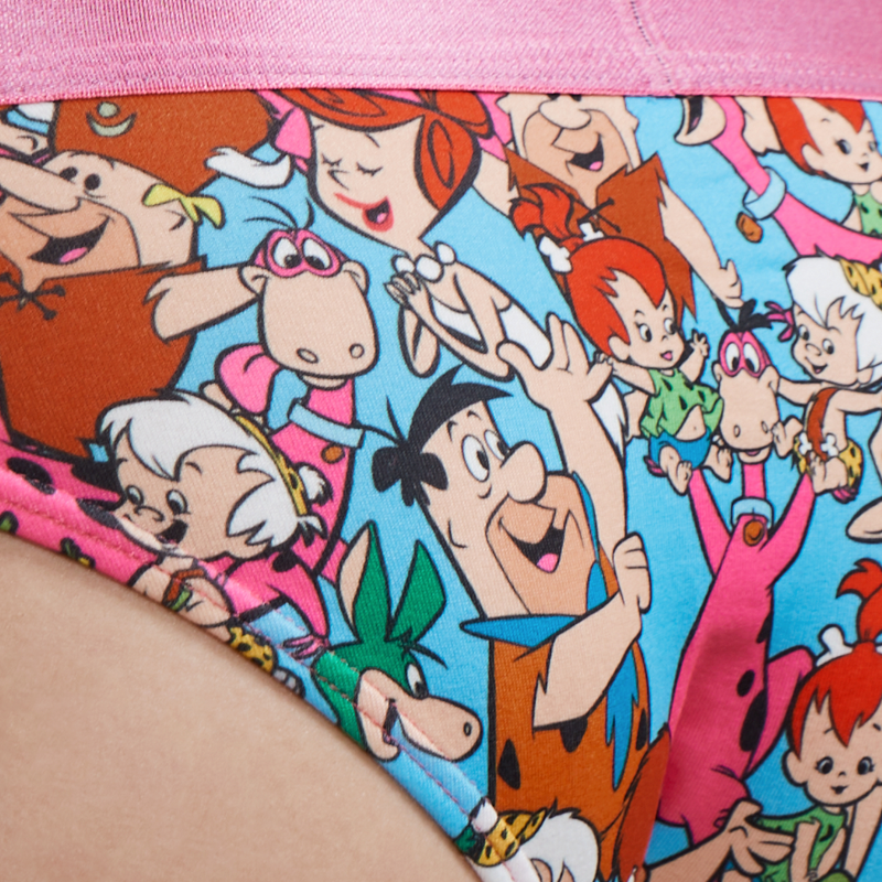 SWAG WOMEN'S FLINTSTONES BIKINI BRIEF - BEDROCK
