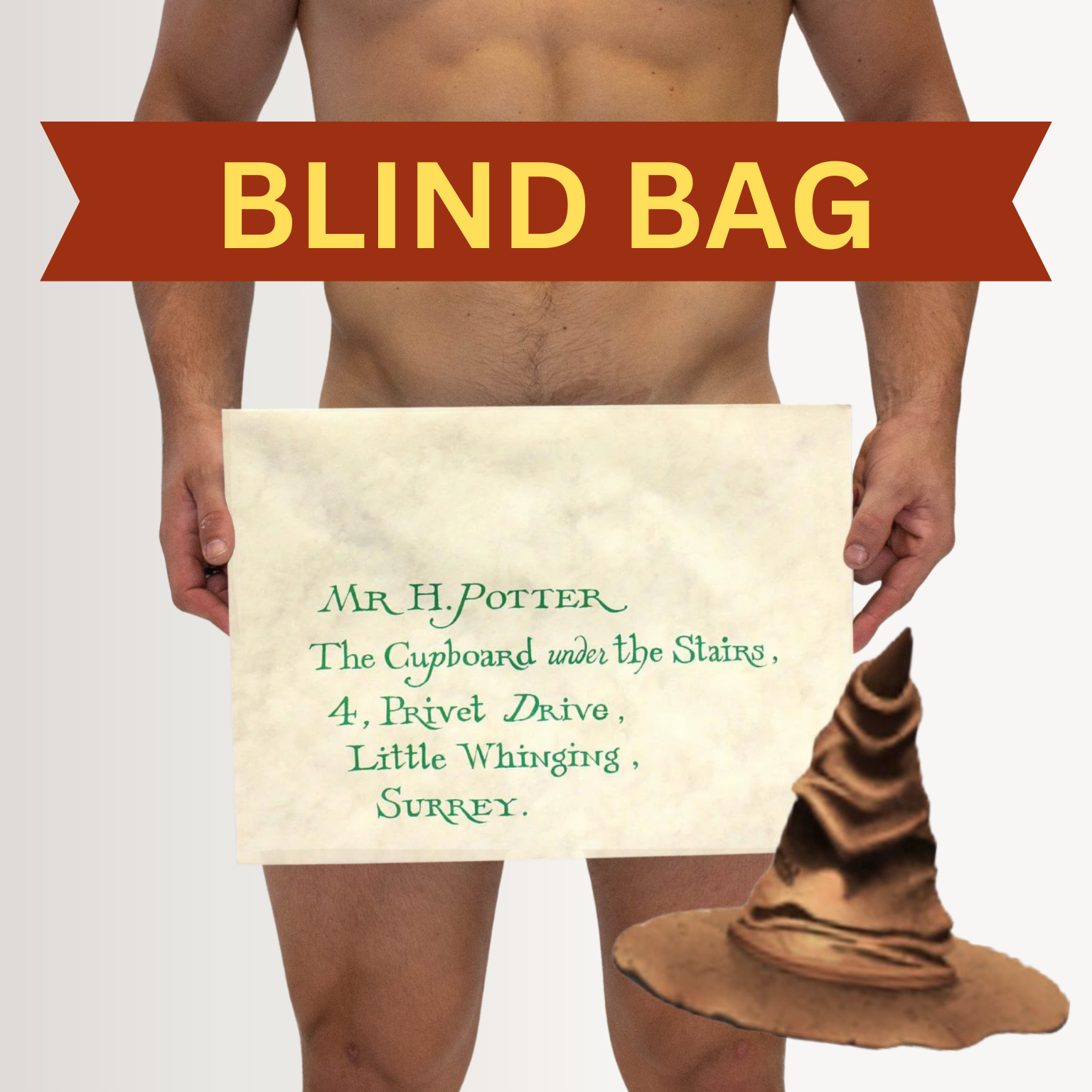 SWAG MENS BLIND BAG HARRY POTTER HOUSE BOXERS