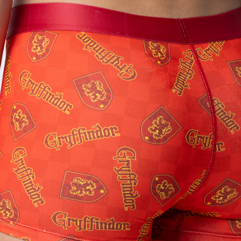 Gryffindor Boy Shorts