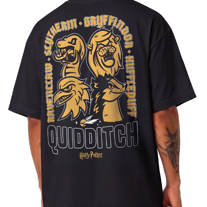 Quidditch Houses Oversize  T-Shirt