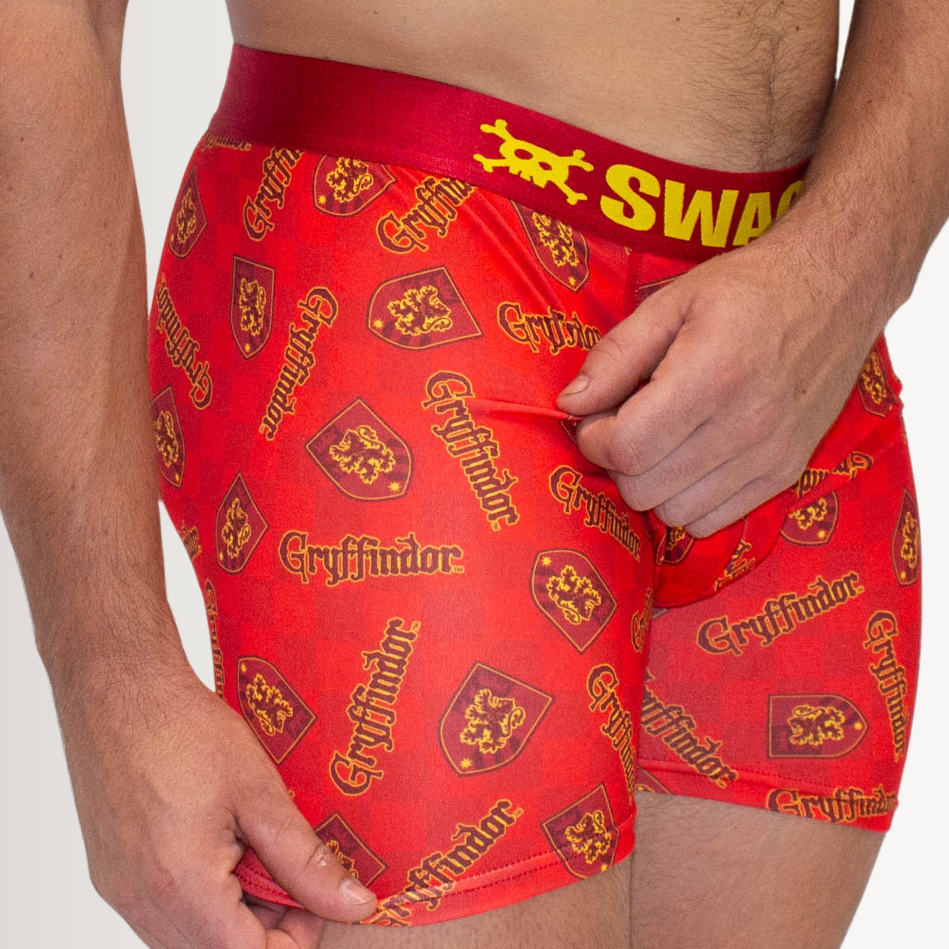 SWAG MENS BLIND BAG HARRY POTTER HOUSE BOXERS