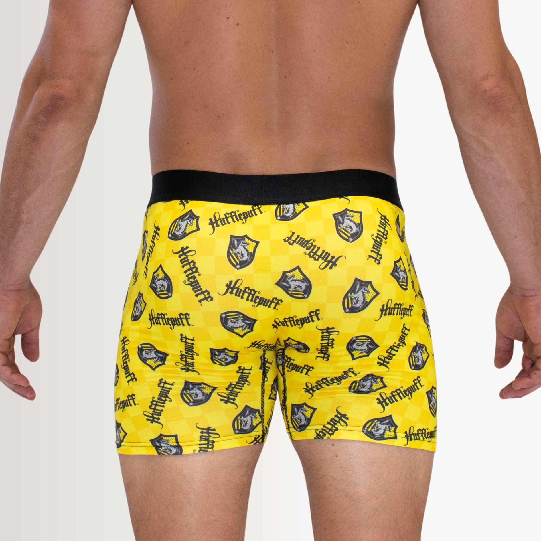 SWAG MENS BLIND BAG HARRY POTTER HOUSE BOXERS