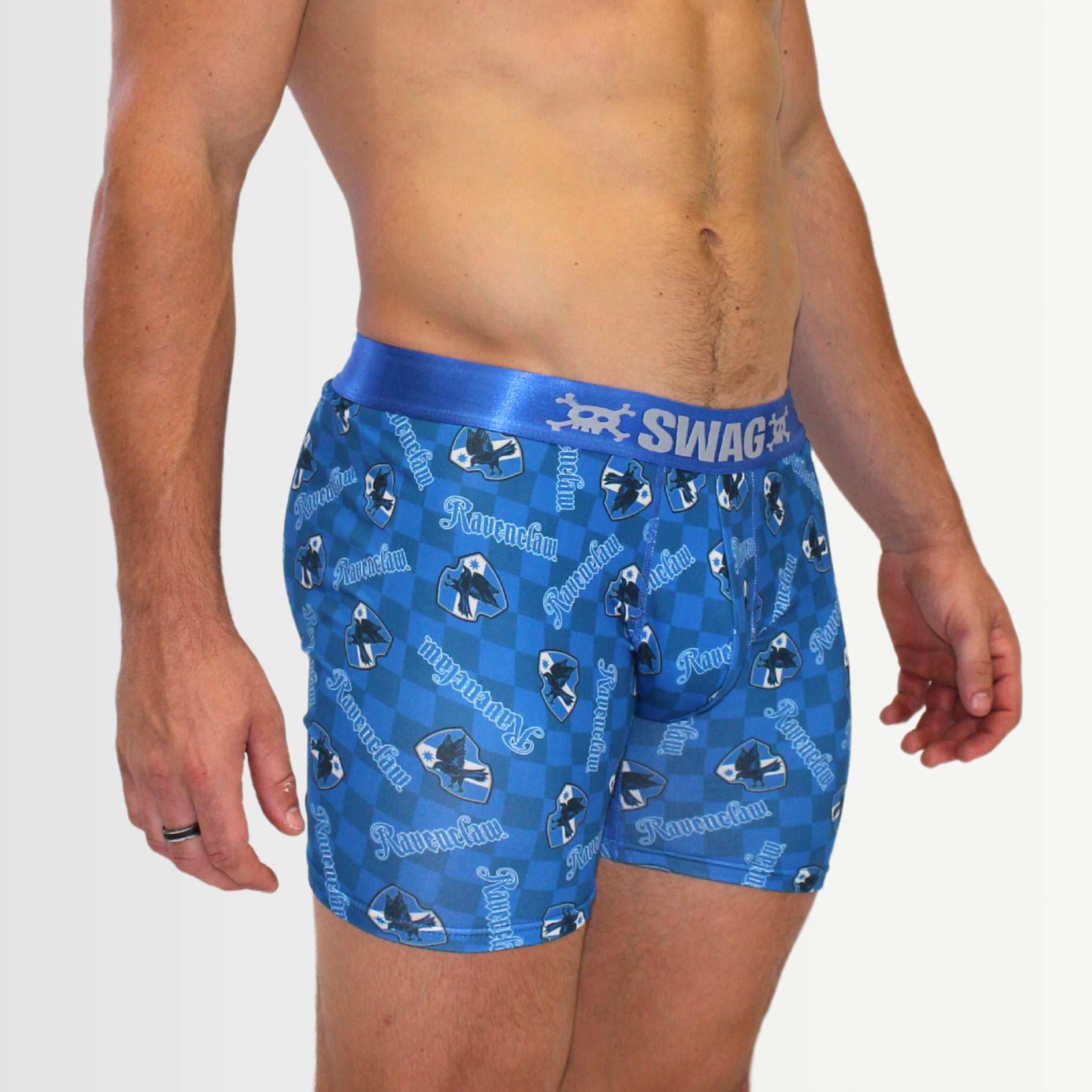 SWAG MENS BLIND BAG HARRY POTTER HOUSE BOXERS