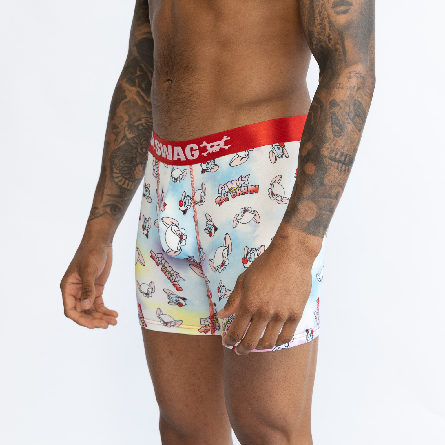 SWAG WARNER BROS BOXERS - PINKY & THE BRAIN