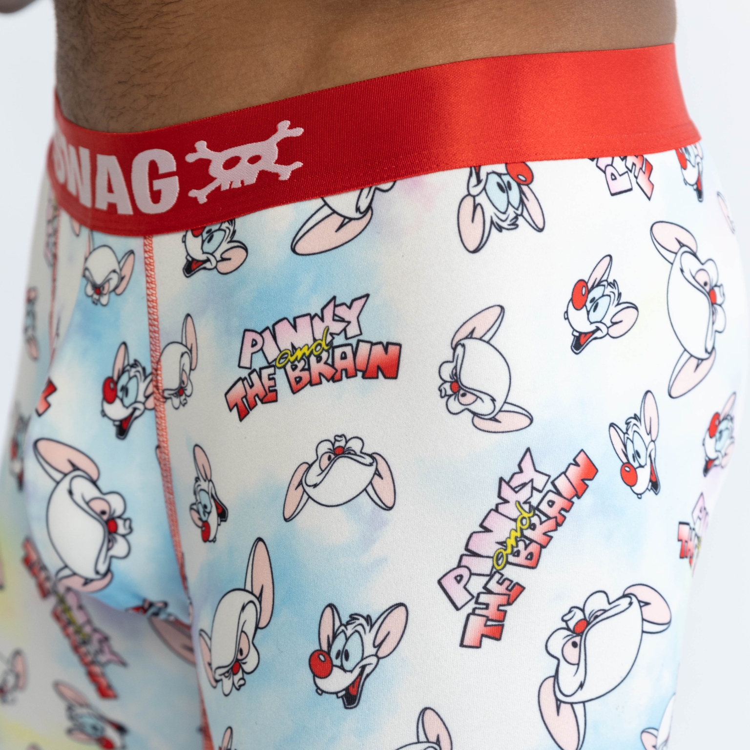 SWAG WARNER BROS BOXERS - PINKY & THE BRAIN