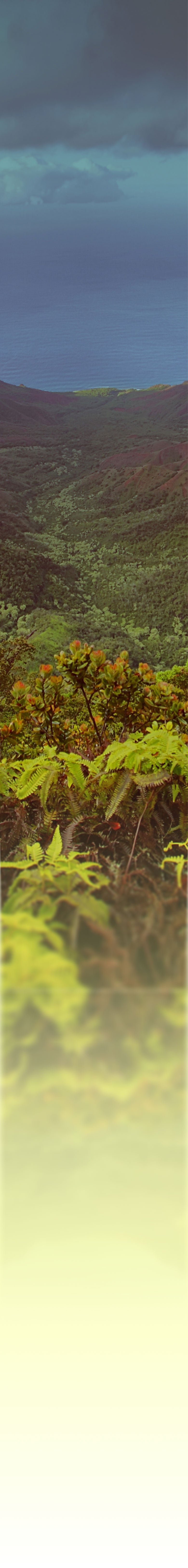 jurrasic park mobile bg